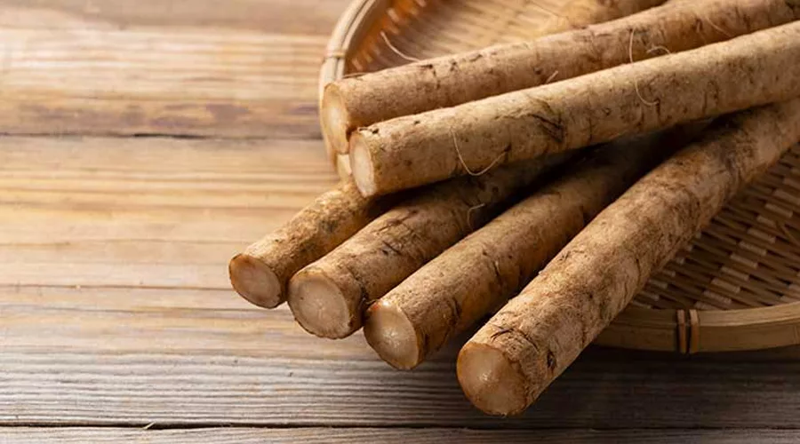 Burdock Root