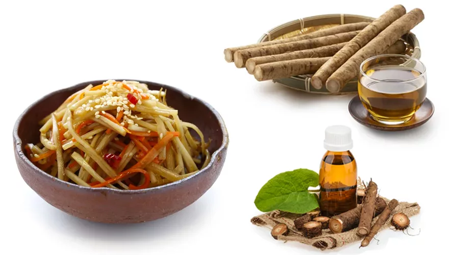 Use Of Burdock Root