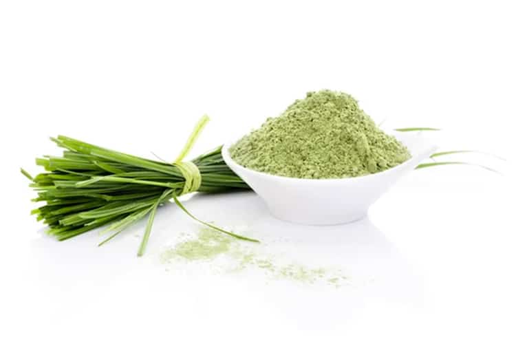 Are Wheatgrass And Barley Grass Gluten Free?