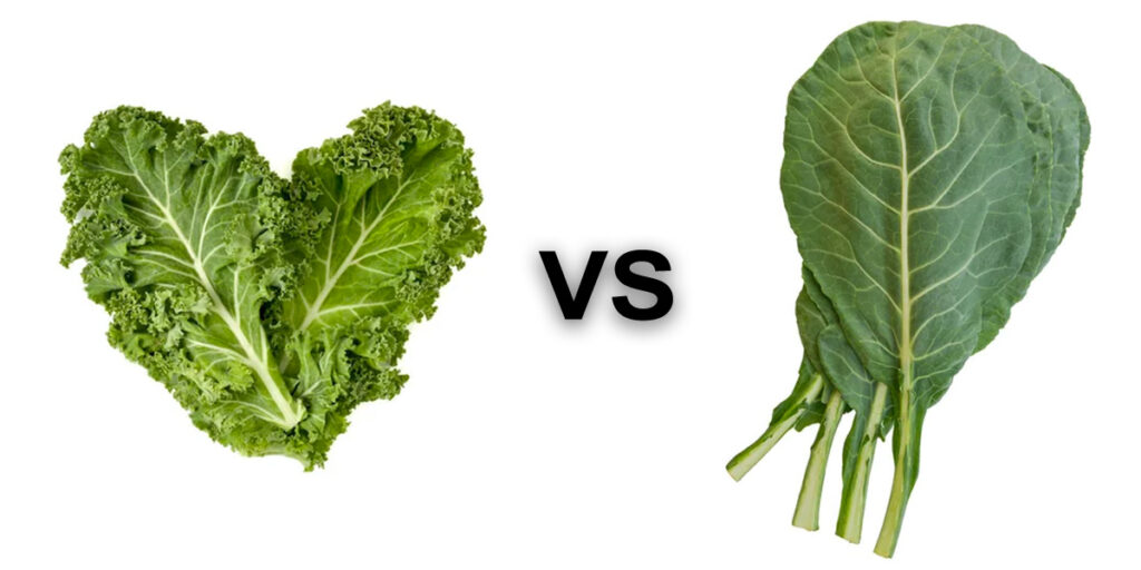 Kale and Collard Greens