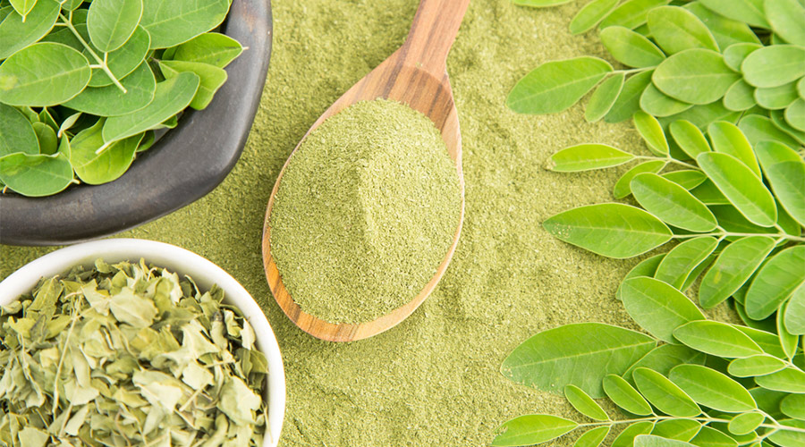 How Long Does It Take For Moringa To Start Working How Long Does It Take For Moringa To Start Working?