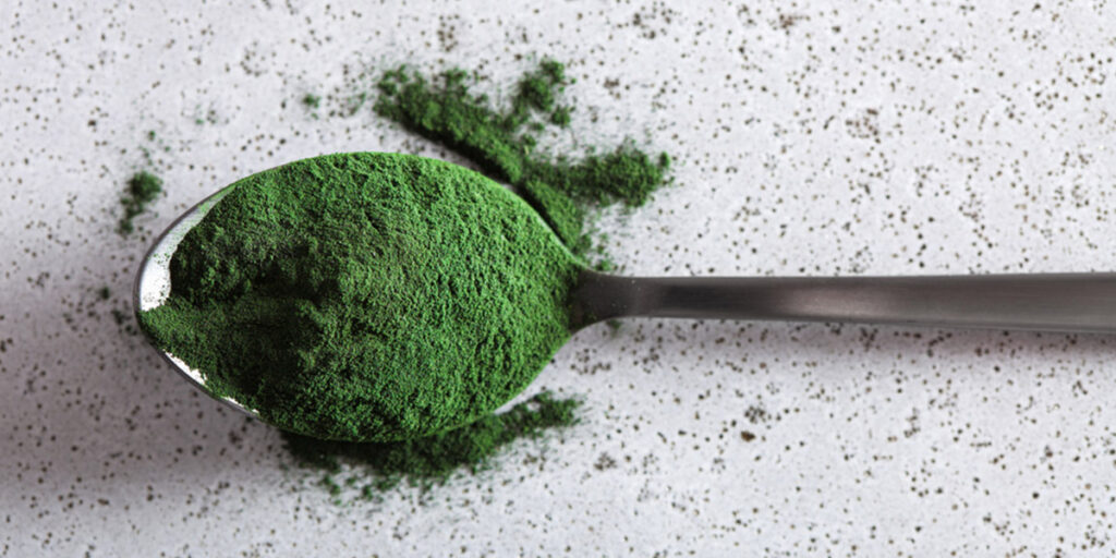 Spirulina powder in metal spoon