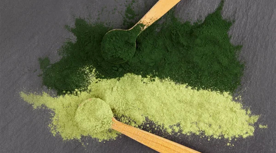 Chlorella Heavy Metal Detox How Does It Work?