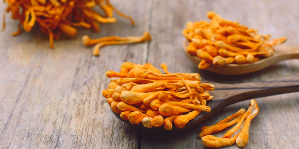 cordyceps mushrooms in wooden spoon