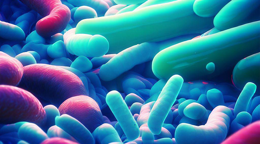 Do Probiotics Make You Poop? Unveiling The Gut Health Secret