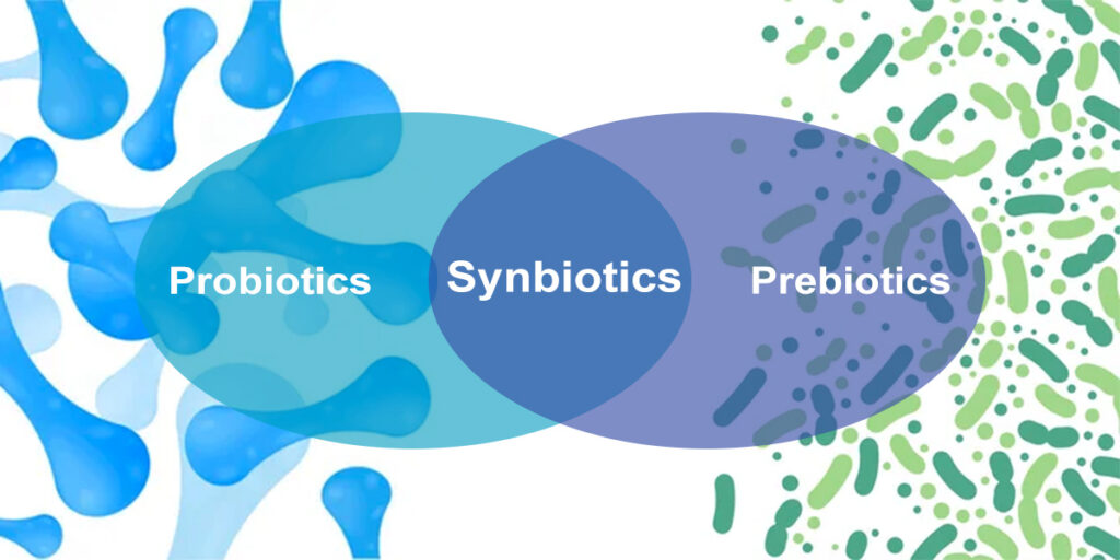 What are synbiotics