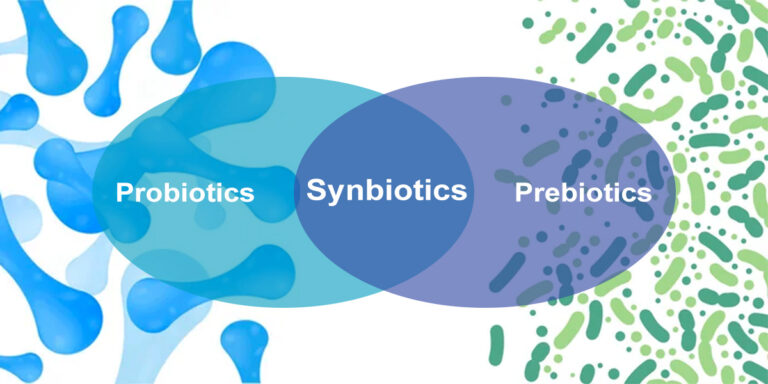 What Are Synbiotics? How To Improve Your Gut Health