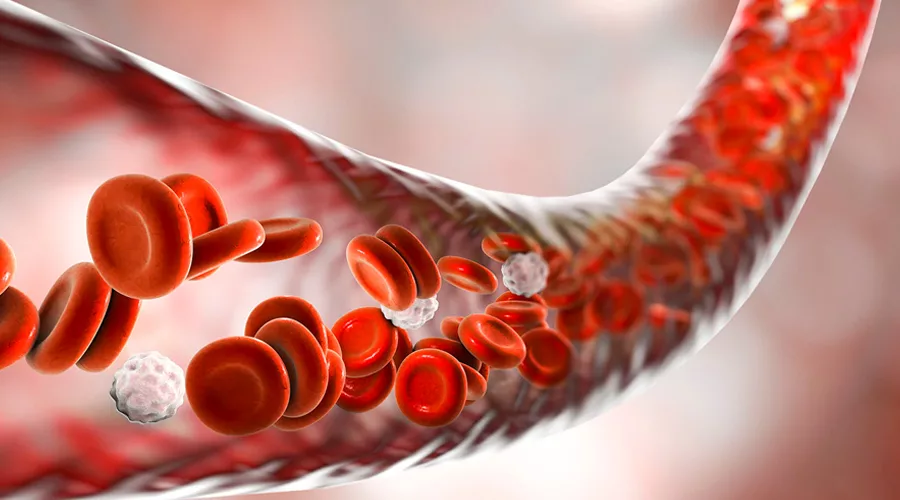 Vitamins For Blood Flow: What Are The Options